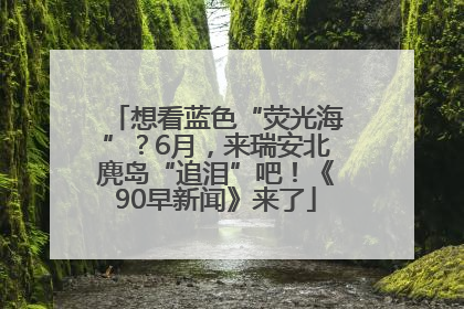 想看蓝色“荧光海”？6月，来瑞安北麂岛“追泪”吧！《90早新闻》来了