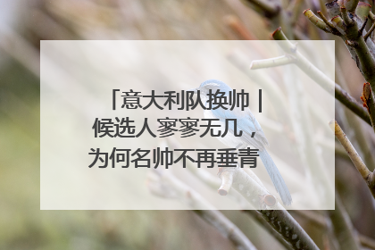 意大利队换帅｜候选人寥寥无几，为何名帅不再垂青“蓝衣军团”？