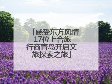 感受东方风情 17位上合旅行商青岛开启文旅探索之旅