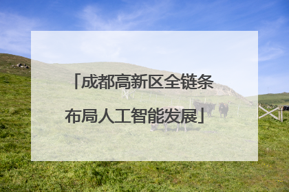 成都高新区全链条布局人工智能发展