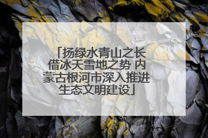 扬绿水青山之长 借冰天雪地之势 内蒙古根河市深入推进生态文明建设