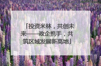 投资米林，共创未来——政企携手，共筑区域发展新高地