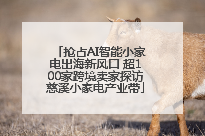 抢占AI智能小家电出海新风口 超100家跨境卖家探访慈溪小家电产业带