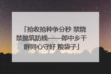 抢收抢种争分秒 禁烧禁抛筑防线——郎中乡干群同心守好 粮袋子