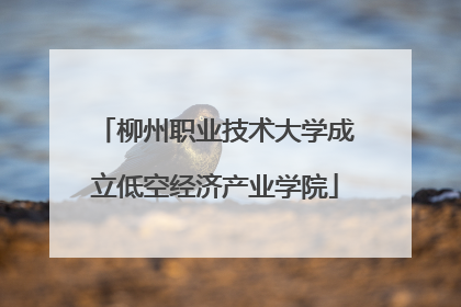 柳州职业技术大学成立低空经济产业学院