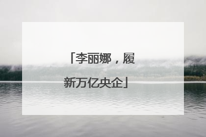 李丽娜，履新万亿央企