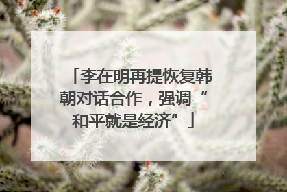李在明再提恢复韩朝对话合作，强调“和平就是经济”
