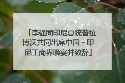 李强同印尼总统普拉博沃共同出席中国－印尼工商界晚宴并致辞