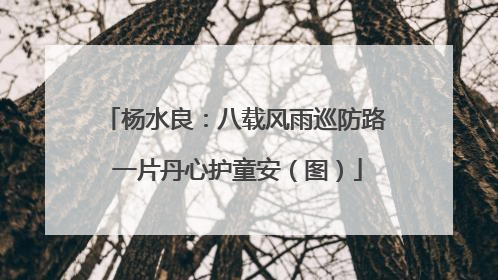 杨水良：八载风雨巡防路 一片丹心护童安（图）