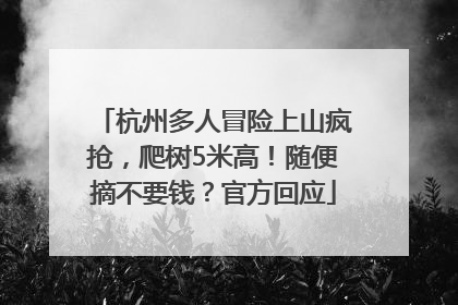 杭州多人冒险上山疯抢，爬树5米高！随便摘不要钱？官方回应