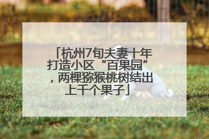 杭州7旬夫妻十年打造小区“百果园”，两棵猕猴桃树结出上千个果子