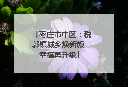 枣庄市中区：税郭镇城乡焕新颜 幸福再升级