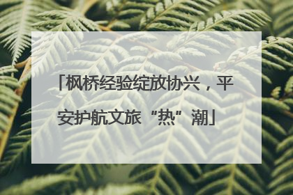 枫桥经验绽放协兴，平安护航文旅“热”潮