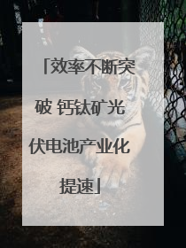 效率不断突破 钙钛矿光伏电池产业化提速