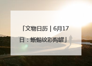 文物日历｜6月17日：蜥蜴纹彩陶罐