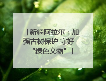 新疆阿拉尔：加强古树保护 守好“绿色文物”