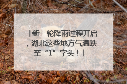新一轮降雨过程开启，湖北这些地方气温跌至“1”字头！