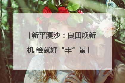 新平漠沙：良田焕新机 绘就好“丰”景