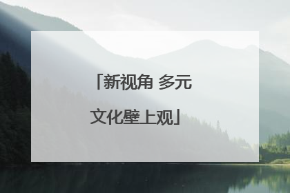 新视角 多元文化壁上观
