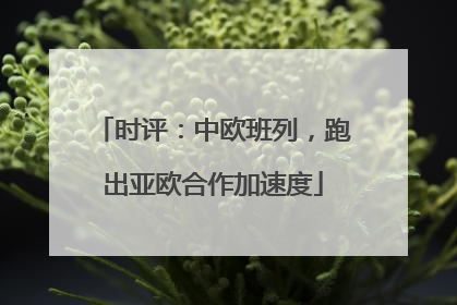 时评：中欧班列，跑出亚欧合作加速度