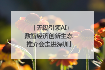无锡引领AI+数智经济创新生态推介会走进深圳