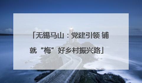 无锡马山：党建引领 铺就“梅”好乡村振兴路