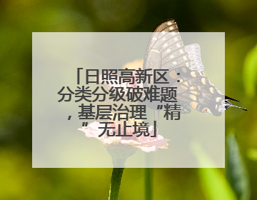 日照高新区：分类分级破难题，基层治理“精”无止境