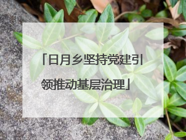 日月乡坚持党建引领推动基层治理