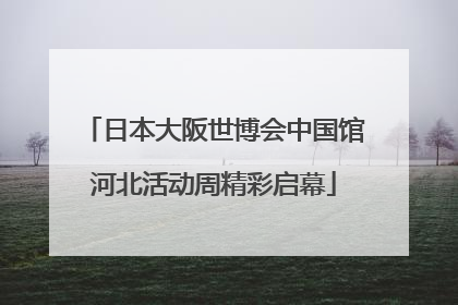 日本大阪世博会中国馆河北活动周精彩启幕