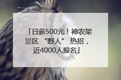 日薪500元！神农架景区 “野人” 热招，近4000人报名