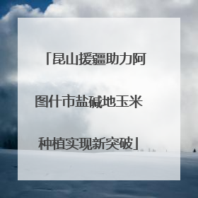 昆山援疆助力阿图什市盐碱地玉米种植实现新突破