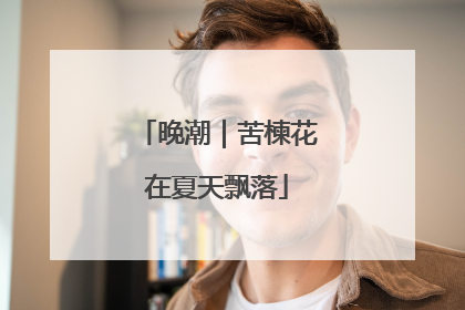 晚潮｜苦楝花在夏天飘落