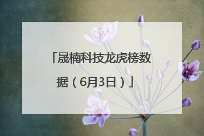 晟楠科技龙虎榜数据（6月3日）