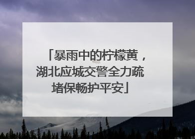 暴雨中的柠檬黄，湖北应城交警全力疏堵保畅护平安
