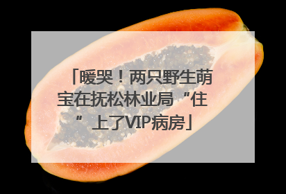 暖哭！两只野生萌宝在抚松林业局“住”上了VIP病房