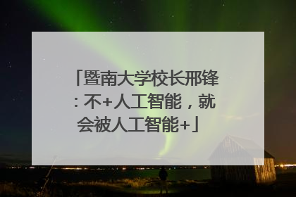暨南大学校长邢锋：不+人工智能，就会被人工智能+