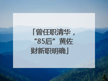 曾任职清华，“85后”黄佐财新职明确