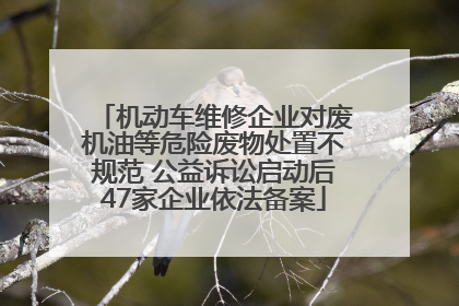 机动车维修企业对废机油等危险废物处置不规范 公益诉讼启动后47家企业依法备案