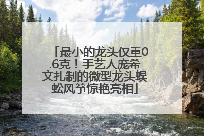最小的龙头仅重0.6克！手艺人庞希文扎制的微型龙头蜈蚣风筝惊艳亮相
