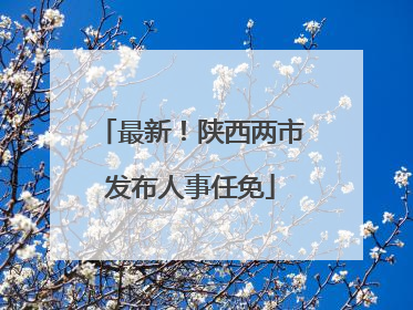 最新！陕西两市发布人事任免