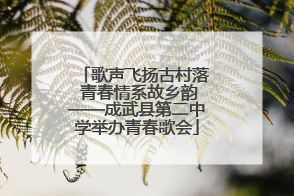 歌声飞扬古村落 青春情系故乡韵——成武县第二中学举办青春歌会