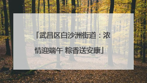 武昌区白沙洲街道：浓情迎端午 粽香送安康