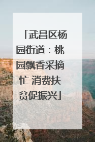 武昌区杨园街道：桃园飘香采摘忙 消费扶贫促振兴