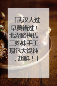 武汉人过早莫错过！北湖路梅氏三姊妹手工现包大馄饨，超鲜！