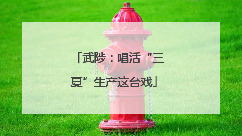武陟：唱活“三夏”生产这台戏