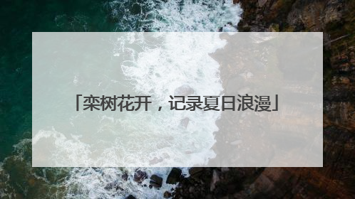 栾树花开，记录夏日浪漫