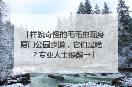 样貌奇怪的毛毛虫现身厦门公园步道，它们是啥？专业人士提醒→