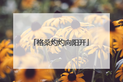 格桑灼灼向阳开