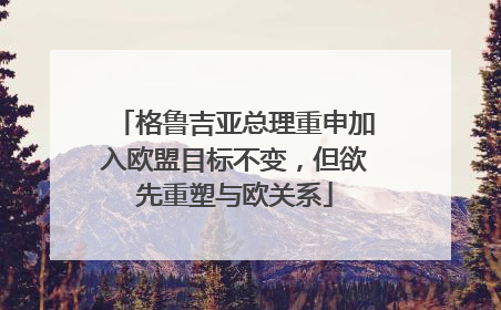 格鲁吉亚总理重申加入欧盟目标不变，但欲先重塑与欧关系
