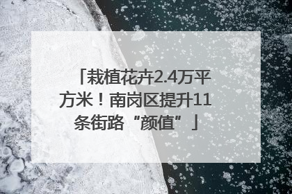 栽植花卉2.4万平方米！南岗区提升11条街路“颜值”